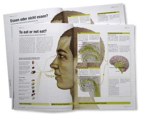 Doppelseite der Infografik © Michael Stünzi