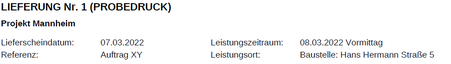 Lieferung Kopfdaten Formular