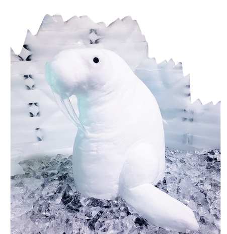 White snowy landscapes simply warm your heart – not only when they are a part of nature. Snow decorations have a way of lending Christmas celebrations, parties or product presentations a special aura and captivating splendor. 