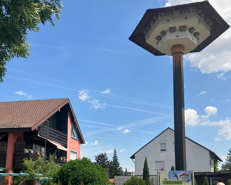 Die Infotafel (unten) erläutert, wie das Schwalbenhaus in Bad Windsheim die Vögel unterstützt.
