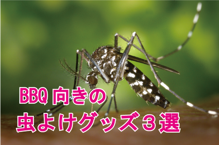 Bbq向きの虫除けグッズ3選 激安bbqレンタルのバーベキュービッグ