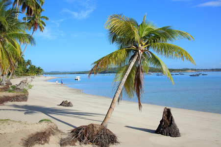 praia dos parneiros, tamandaré, brasilien, flussdelta, weisser sand, kirche von são benedito, tauchen, korallenriff, schnorcheln, traumstrand, fisch essen