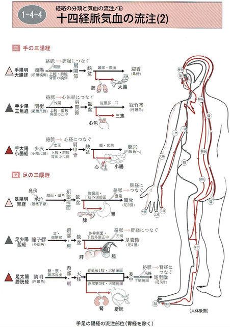 「経絡マップ」より