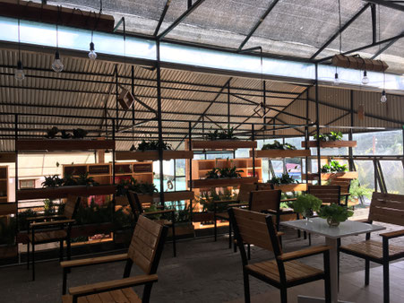The Green Box Da Lat Vietnam Smoothie