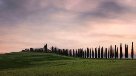 Poggio Covili l Val d'Orcia