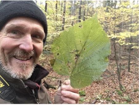 Michael Nerrie of Distant Hill holding a giant eight-inch diameter basswood leaf.