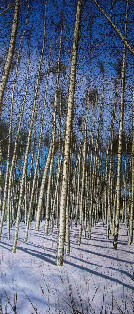 Waldansicht     2,30 x 1,00 m     Acryl auf Leinwand  /  acrylic on canvas