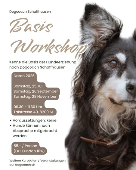 Hundekommunikation, Hundeschule
