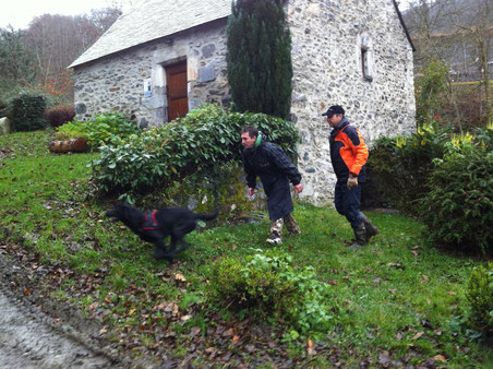 Noisette et Puff en pleine relance sur une victime