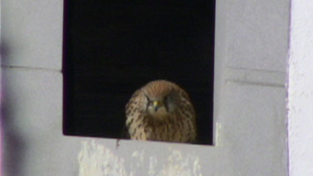 Bilder: Rudolf Schinz