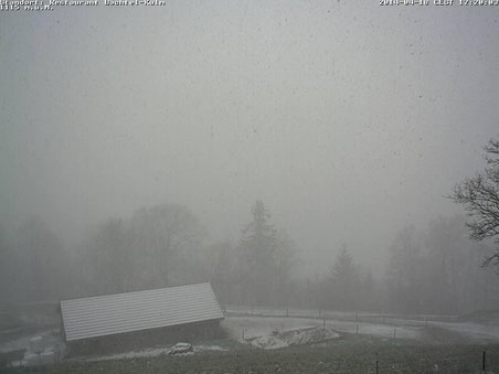 Bild: Webcam Bachtel