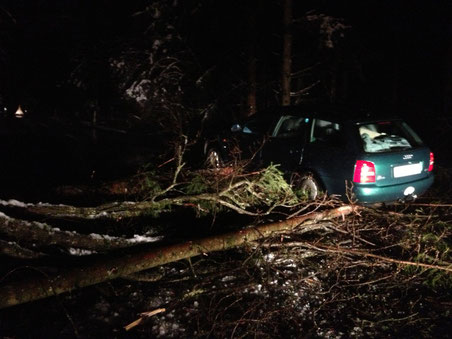 Bilder: Feuerwehr Bubikon
