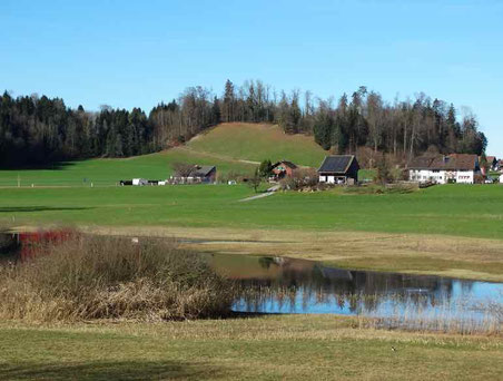 (Bild: buebikernews)