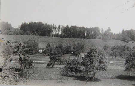 Bild: Sammlung Walter Messmer