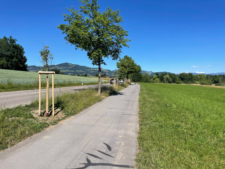 (Bild: bubikon.ch)