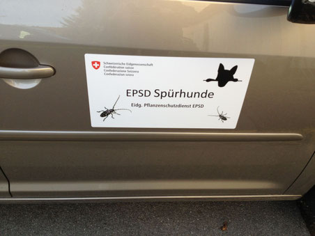 Bild: © buebikernews.com