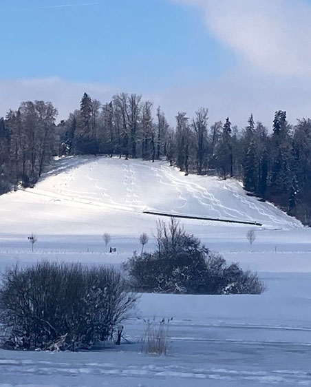 (Bilder: buebikernews)