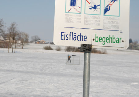 Bilder: Dominic Illi