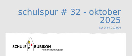 (Screenshot schule-bubikon.ch)