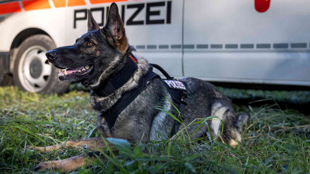 (Bild: KAPO SZ)