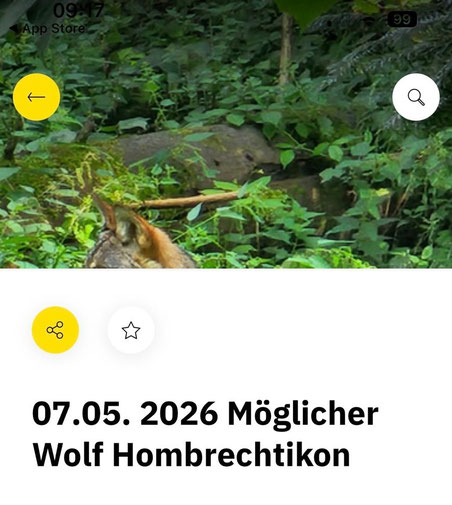 (Screenshot strickhof.ch)