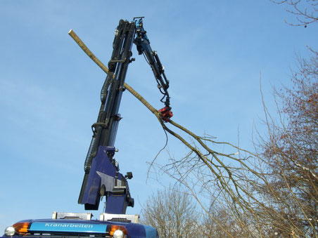 Bilder: © buebikernews.com