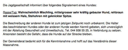 Original-Communiqué aus Hinwil