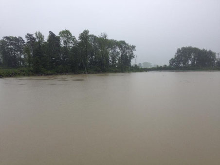 Überschwemmungen im Linthgebiet: Hänggelgiessen bei Benken (Bild: S. Künzle)