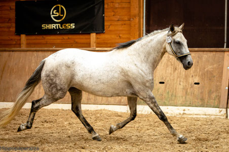 Jasmine al Shama