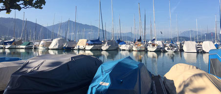                                                 Zug: Zug Marina (Hafen)