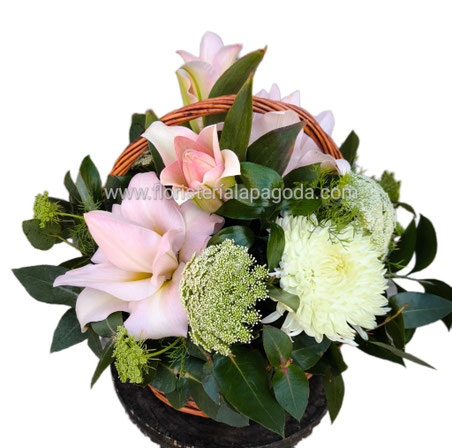 Cesta mediana desde 60€