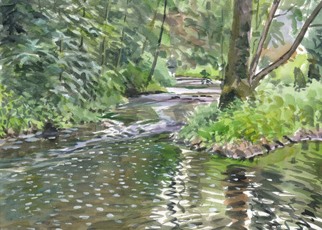 La petite rivière a retrouvé son débit estival (Ille-et-Vilaine, juin 2015)