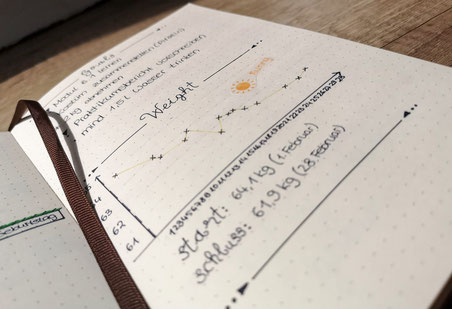 Bullet journal, filofax, wochenübersicht, monat, übersicht, planer
