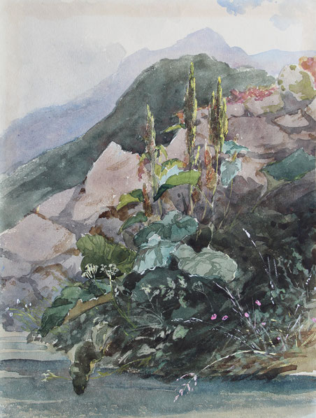 Karl Lang Archiv Büsingen Thomas Burton Watkin Forster TBWF Aquarell watercolor