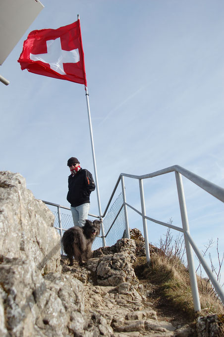 auf der Belchenflue angekommen