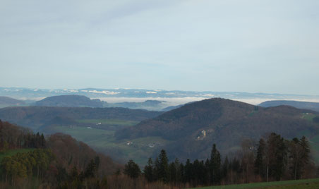 beim Verlassen des kurzen Waldwegs bietet sich eine herrliche Aussicht