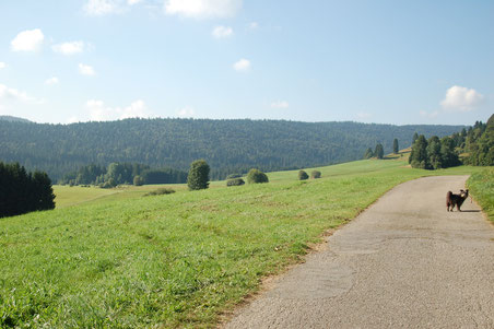 heute  starten wir beim Friedhof Innerlehen zu unserem Lieblingsplatz "dem Bächli"