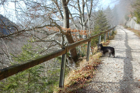 nun kommen wir zum Weg der letzten Etappe