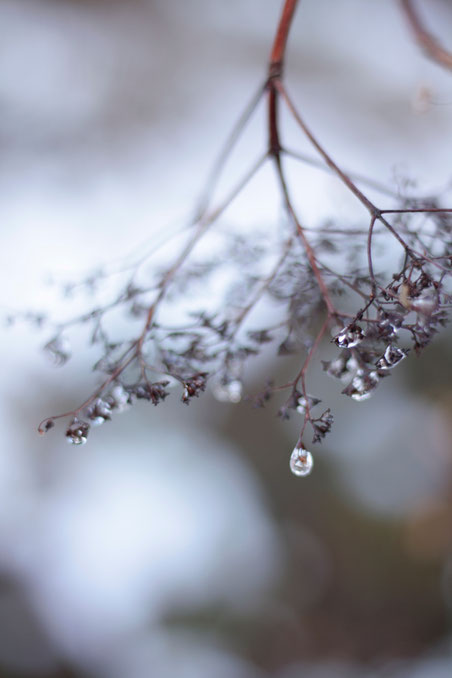 photography, natur, minimalistisch, nature_mavels, nature_magic, strukture_photography,  detais, reduction