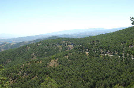 Blick auf die Sierra de Baza