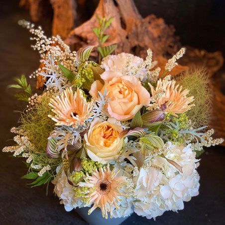 福知山のお花屋さん キャンディー 福知山のお花屋さん キャンディー 福知山のお花屋さん キャンディー 福知山のお花屋さん キャンディー