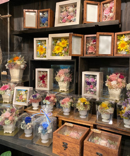 福知山のお花屋さん キャンディー 福知山のお花屋さん キャンディー 福知山のお花屋さん キャンディー 福知山のお花屋さん キャンディー