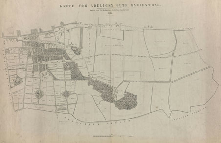 Die Parzellierung Marienthals 1865 Quelle: Staatsarchiv  Hamburg 1865 StA 720-1 152-1 = 1_186_52