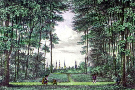 Blick vom Gehölz auf die Hamburger Kirchtürme 1835