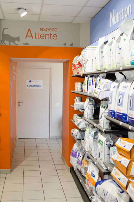 Site de Saint-Brice en Cogles - Clinique vétérinaire des ...