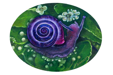 Violet snail, olio su legno telato. 2014