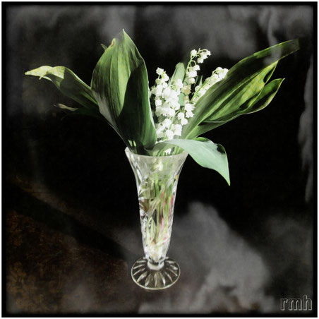 lilies of the valley