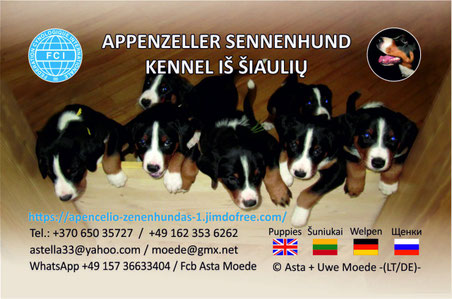 apencelio-zenenhundas-3s Webseite!