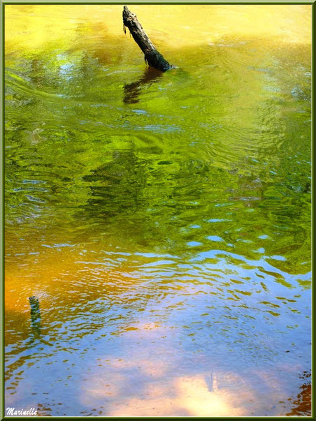 Bois et reflets en bordure de La Leyre, Sentier du Littoral au lieu-dit Lamothe, Le Teich, Bassin d'Arcachon (33) 