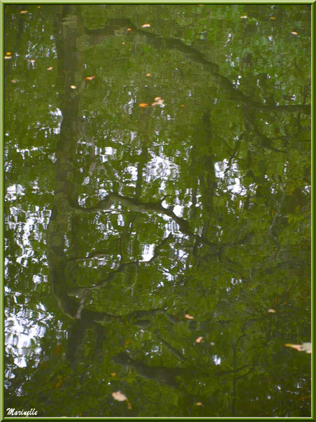 Reflets impressionnistes sur La Leyre, Sentier du Littoral au lieu-dit Lamothe, Le Teich, Bassin d'Arcachon (33)